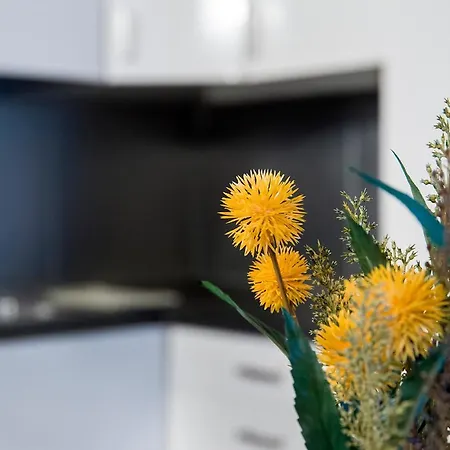 公寓 Duplex2 At The Entrance Of Venice, Cozy And Relax 威尼斯